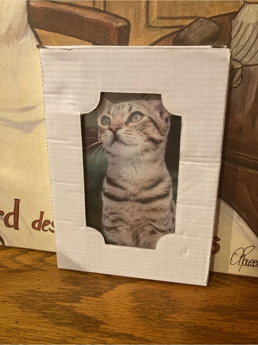 Picture Frame “My Cat” 5” x 7” Desktop